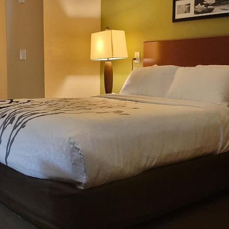 Sleep Inn Near Ft Jackson Columbia Extérieur photo