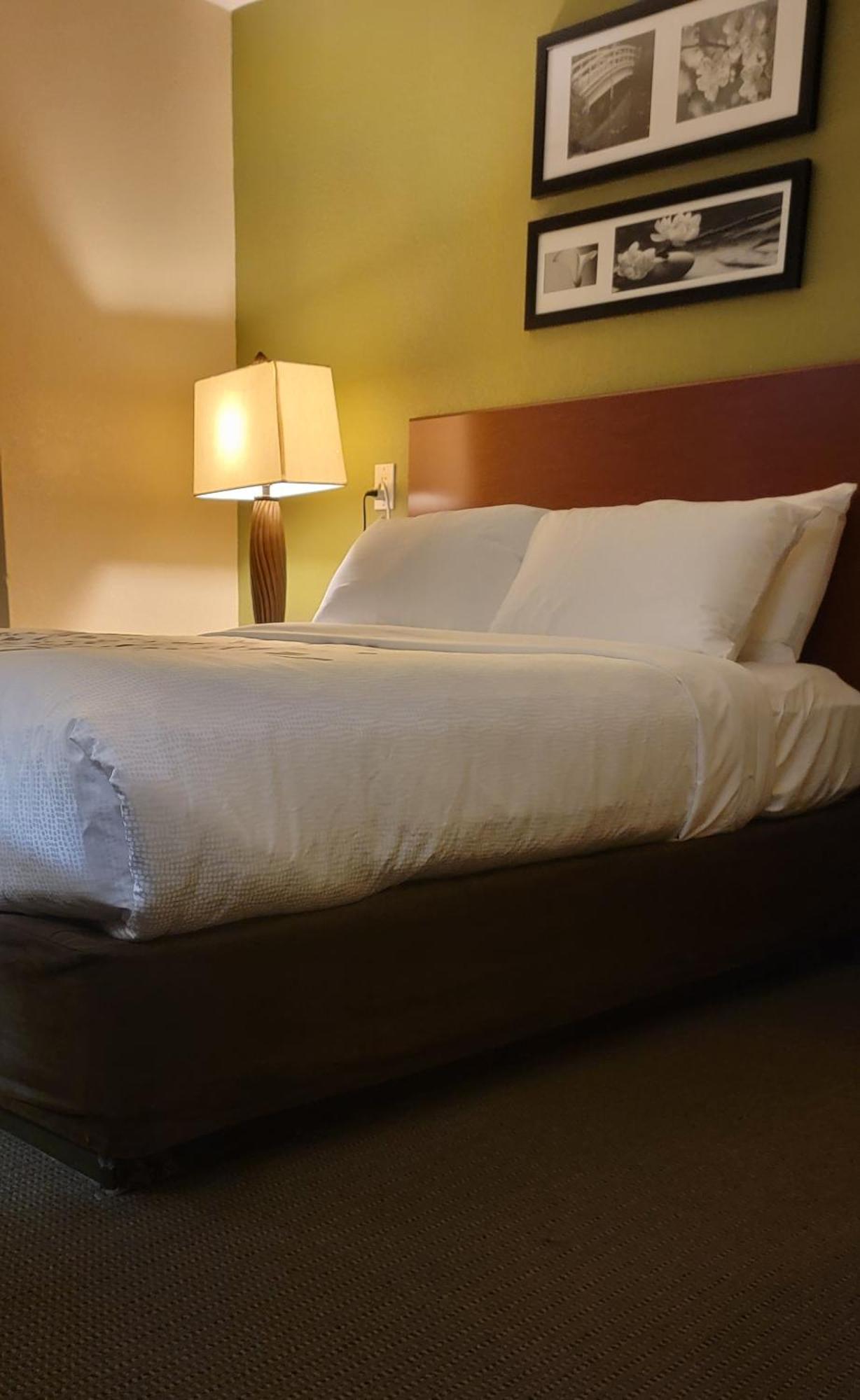 Sleep Inn Near Ft Jackson Columbia Extérieur photo
